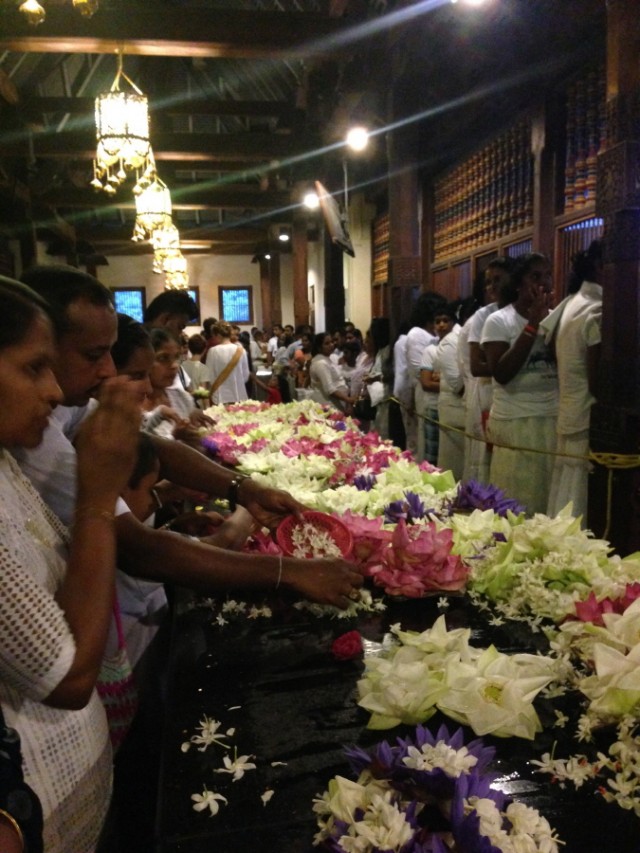 ‘종교는 내 운명’, 종교로 보는 스리랑카의 문화