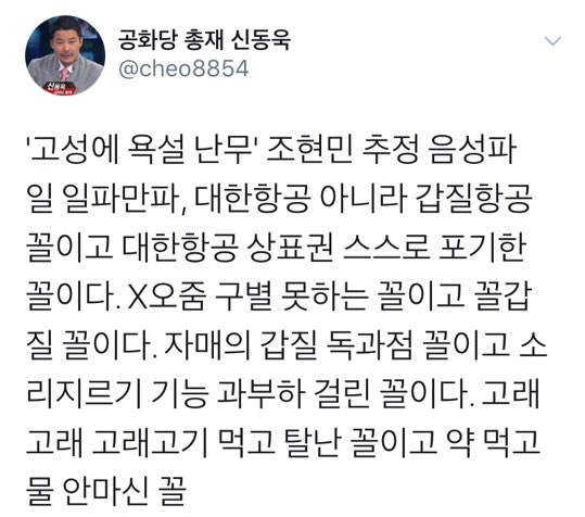 ‘음성파일 논란’ 조현민에 신동욱 “X오줌 구별 못하는 꼴” 맹비난