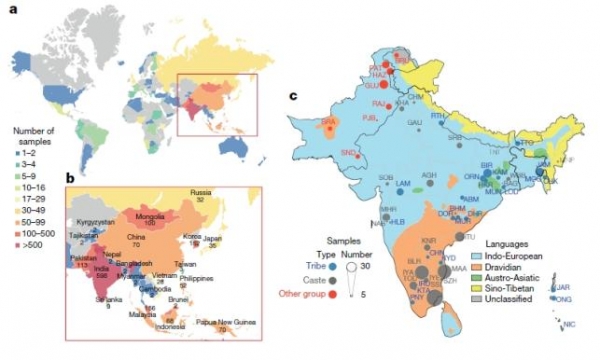 그림=게놈아시아 100K 프로젝트의 국가별 샘플 수 및 분포도. (a와 b: 국가별 샘플 수 / c: 남아시아 지역, 언어, 사회계급별 샘플 분포도)