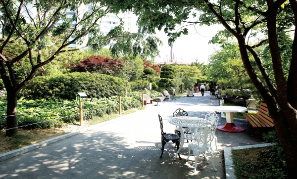 한림대학교성심병원 정원 풍경