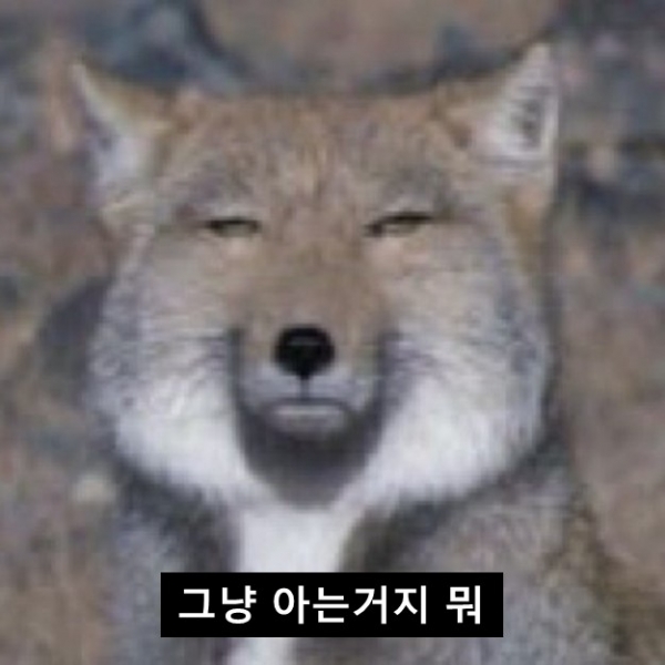 본능적으로 어떻게 아는 걸까?