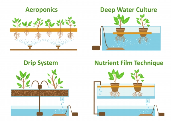 에어로포닉스와 다른 재배법의 차이. 에어로포닉스는 노출된 뿌리에 물이나 영양액 등을 필요한 만큼 분사해주는 시스템으로 노지(露地)보다는 실내에 더 적합한 방식이다.