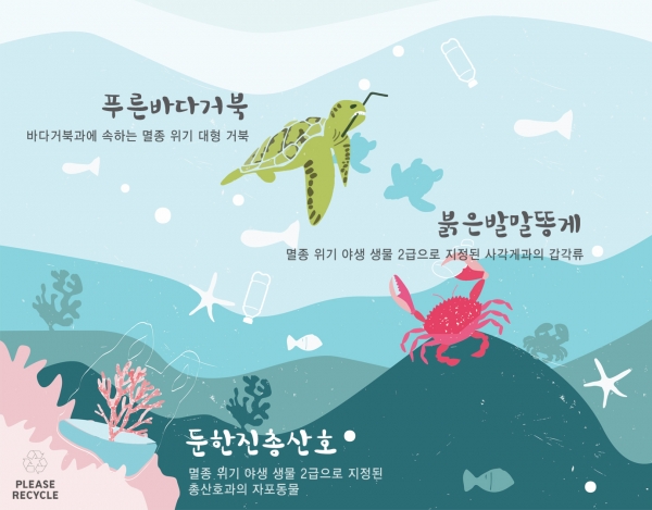 에피그램, 환경캠페인 일환 멸종 위기 해양생물 티셔츠 출시