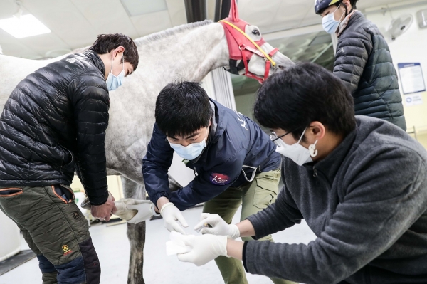 한국마사회, ‘말전염병 ZERO화 달성’ 꿈꾼다