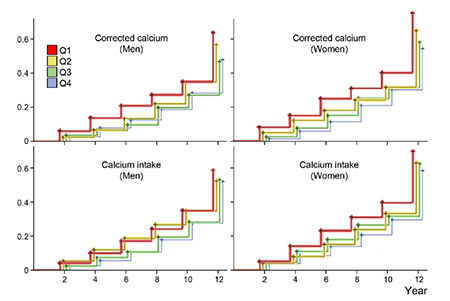 혈중 칼슘농도와 칼슘 섭취량이 가장 낮은 군(Q1)은 가장 높은 군(Q4)보다 근감소증이 남성은 1.7배, 여성은 2.4배 높은 것을 확인했다. (그림=분당서울대병원)