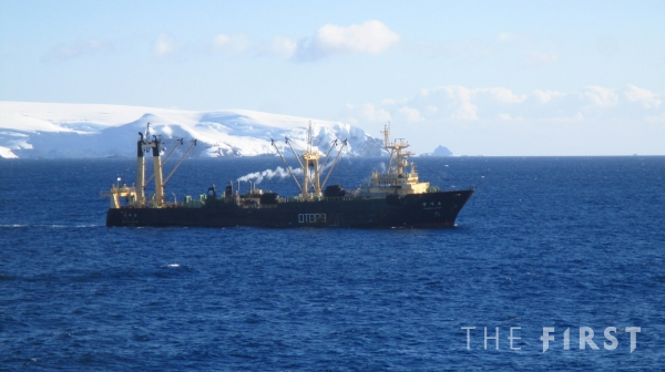 정일산업, 남극해 크릴 어업 'MSC' 인증 획득