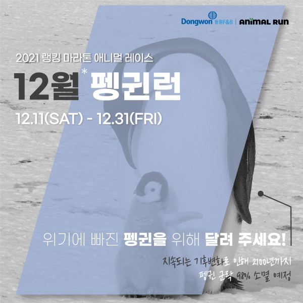 동원F&B, ‘러닝포인트’와 함께 멸종 위기 펭귄 위한 기부 마라톤 ‘펭귄런’ 개최