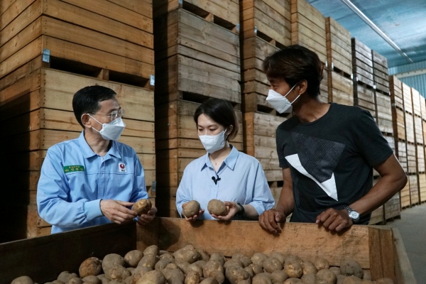 농심, 귀농 청년농부 재배 수미감자 130톤 구매