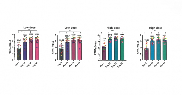 에스티팜 mRNA백신 'STP2104' 임상1상 중간 결과 중화항체역가