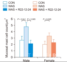 그래프. 로즈부리아 파에시스 투여에 따른 비만세포(mast cell) 변화] *그래프 설명 : 과민성장증후군 유사 증상을 겪는 쥐(WAS, 가운데 막대)에 로즈부리아 파에시스 투여 시(WAS+R22-12-24, 오른쪽 막대) 과민성장증후군 증상을 악화시키는 비만세포의 수가 크게 감소하며, 이러한 경향은 수컷(Male, 파란색) 쥐에서 두드러지는 결과를 보임.