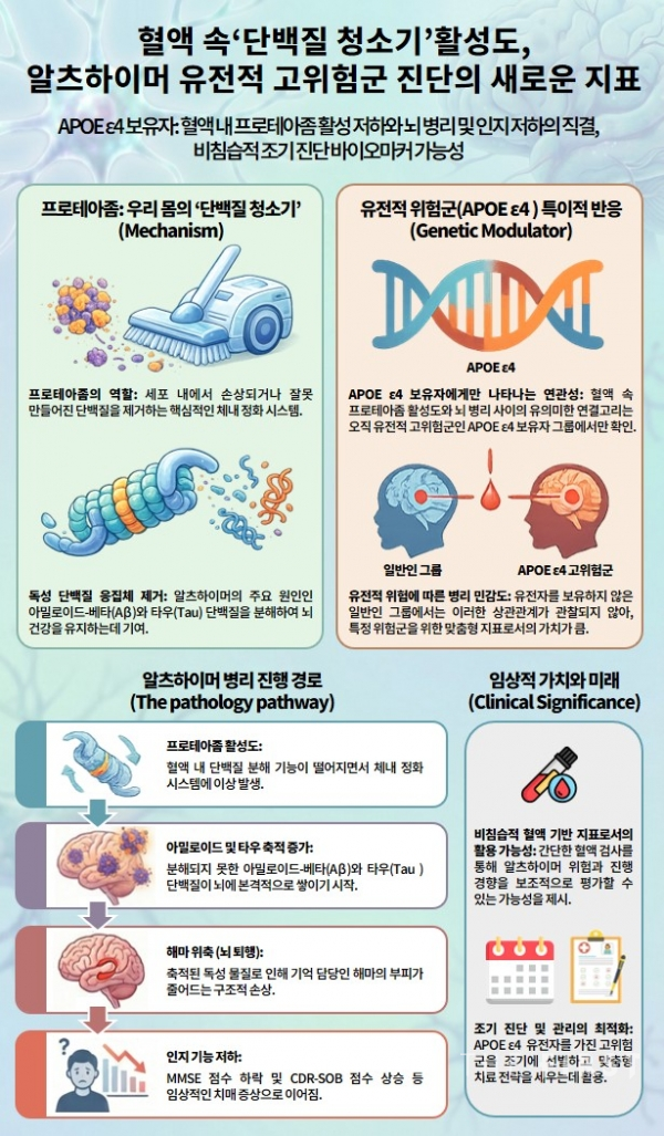 프로테아좀 활성도 연구 논문 모식도