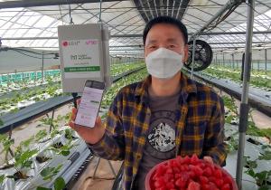 LG유플러스, ‘그린랩스’와 ‘보급형 스마트팜’ 선봬...속초 딸기 농가에 무상 제공