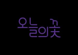 '오늘의꽃', HYK파트너스 및 SK증권-위즈도메인 시리즈 A 규모 투자 유치