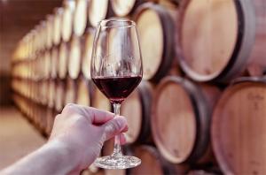 와인 가격 증가세…조각투자 플랫폼 ‘자투리’, 고급 와인투자 선보인다