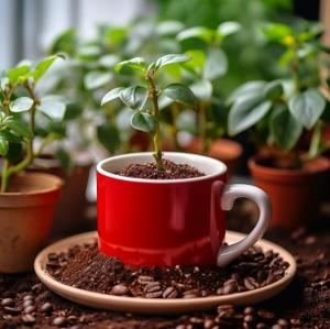 포스코이앤씨, 커피박 활용 조경 토양개량제 개발