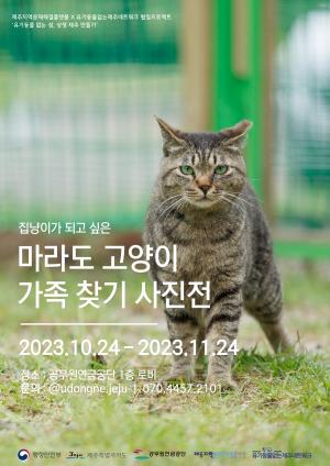 [단신] 공무원연금공단, 마라도 고양이 가족 찾기 사진전 개최 外 1건